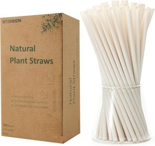 Biodegradable Straws made of Natural Plant 200 PCS 7.8'' Compostable