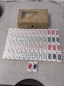 Professional Size Set Of 54Poker Dominos In Case In New Condition