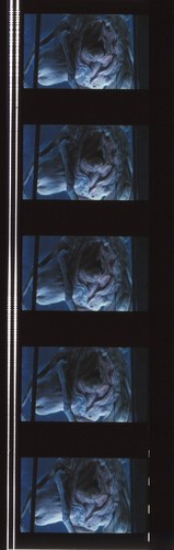 Aliens 35mm Film Cell strip very Rare var_e - Picture 69 of 147