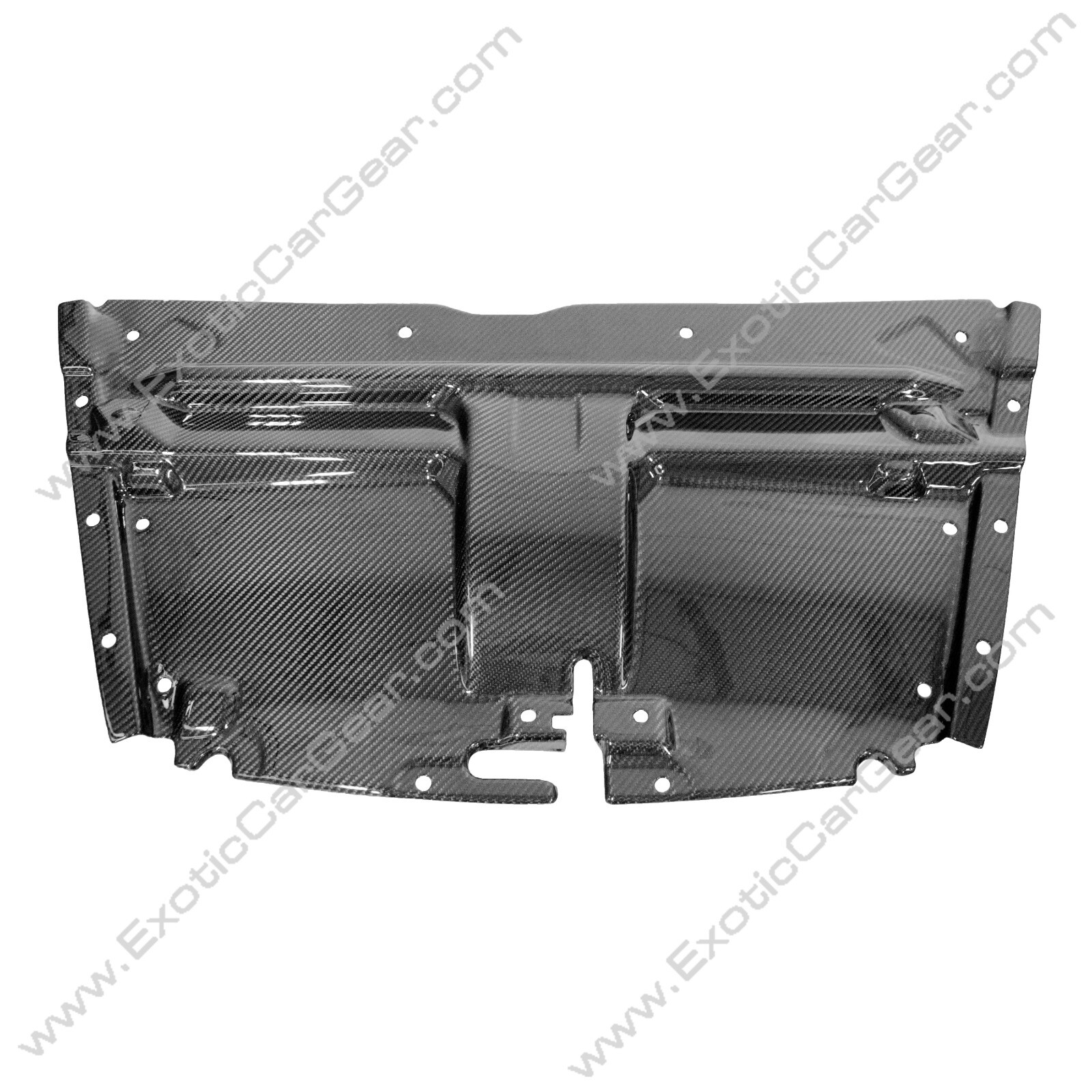 Aston Martin Carbon Fiber Slam Panel