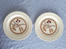 2 Wild Cherry Salad/Dessert Plates by Anchor Hocking