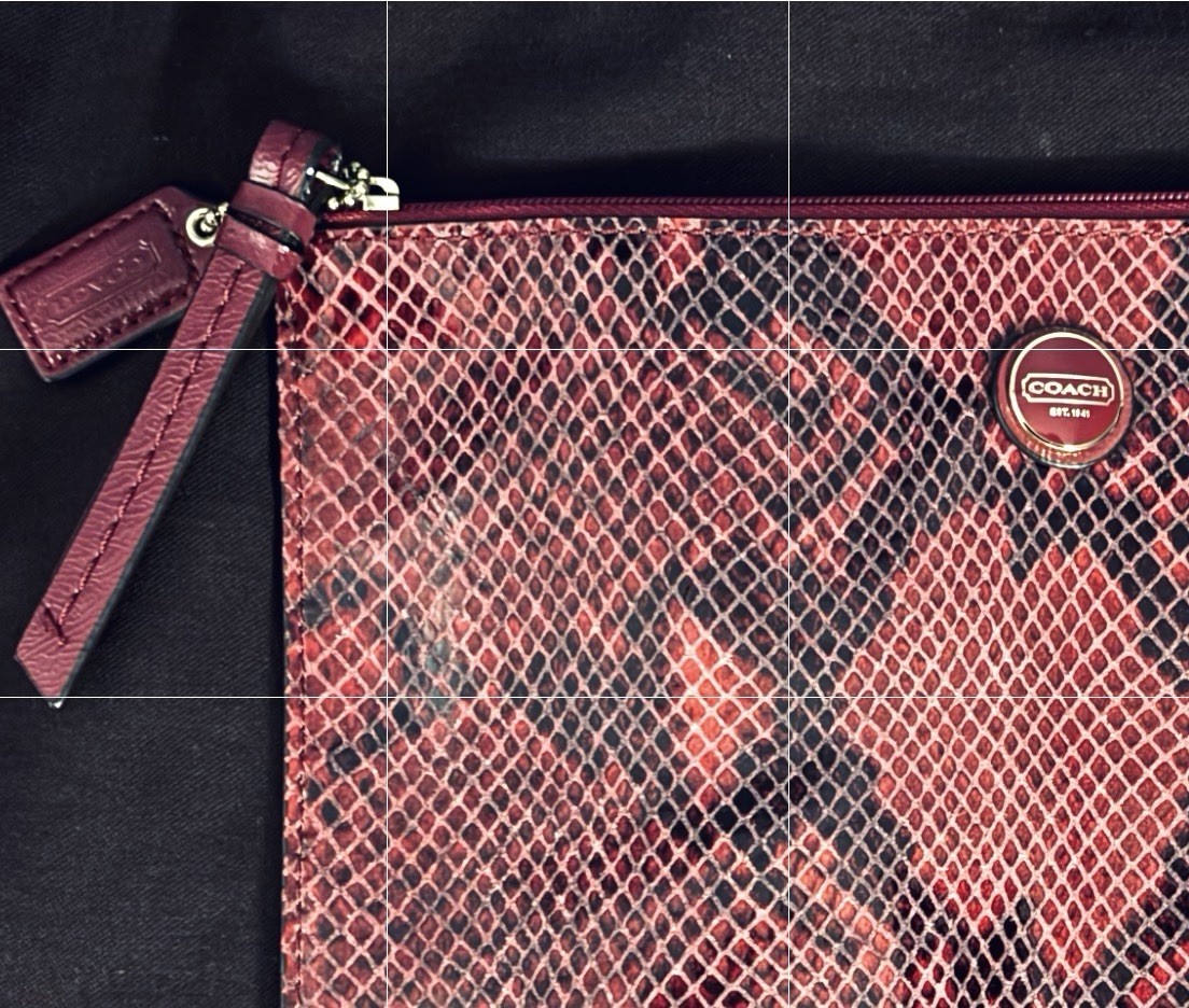 coach python bag - image 4