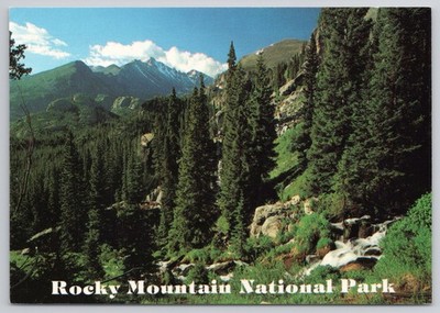 Rocky Mountain National Park Colorado Pines Stream Cascades Landscape Postcard