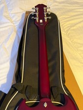 Epiphone SG Prophecy Electric Guitar-Aged Bengal Tiger Burst
