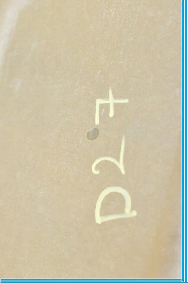 03-06 Conjunto de depósito de tanque de combustible de gasolina Mercedes-Benz R230 SL500 A2304704001 FABRICANTE DE EQUIPOS ORIGINALES Foto 4 de 4