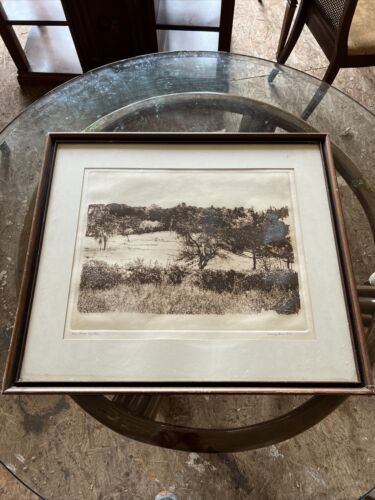 Herbert Fink 1976 etching signed numbered Ames Garden A/P 6/10 litho art   Rare - Picture 1 of 12
