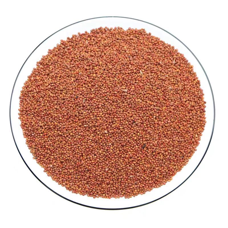 楨实子 Chushizi Premium Chinese Herbs for Natural Wellness