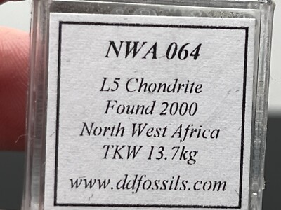 NWA 064 (2.028g) L5 Meteorite Polished End Cut IMCA #s 6236 & 7294