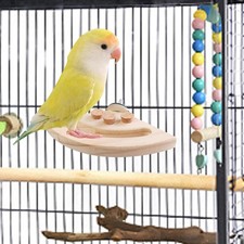 Bird Perches Platform Cage Accessories Bird Shelf Stand