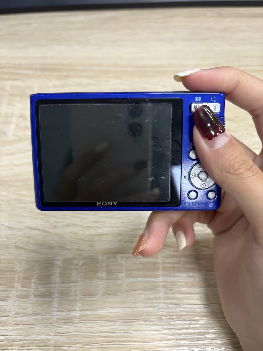 Sony Cyber-shot DSC-W330 Digital Camera 14.1 MP 4x Optical Zoom