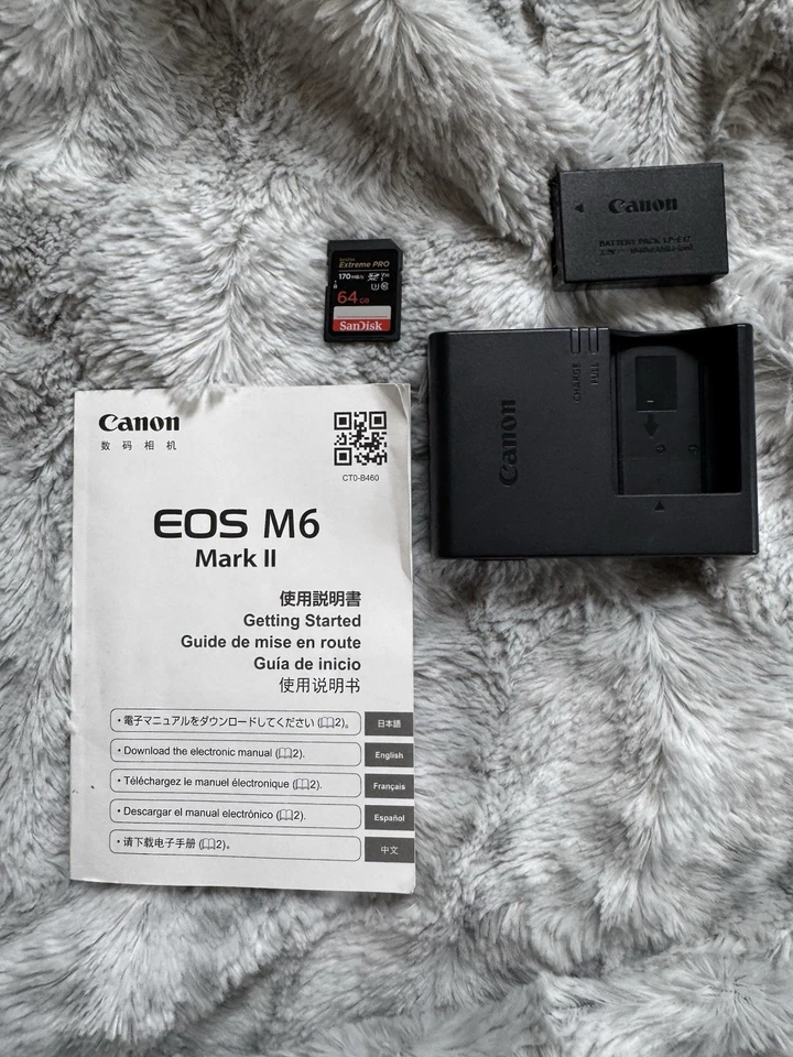 Беззеркальный цифровой фотоаппарат Canon EOS M6 Mark II с объективом 15-45 мм и EVF-DC2 - Изображение 2 из 4