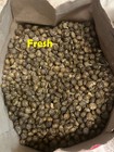 Organic Rabbit Bunny Poo Garden Lawn Manure Fertilizer Hermit Crab Food 2 LBs — photo 1