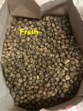 Organic Rabbit Bunny Poo Garden Lawn Manure Fertilizer Hermit Crab Food 2 LBs