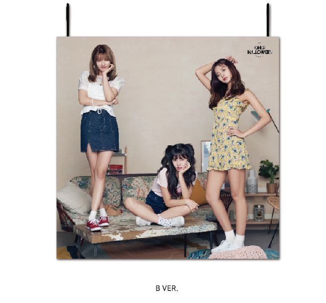 Twice classic ポスター(布) TWICE FANMEETING ONCE HALLOWEEN OFFICIAL GOODS Fabric Poster B Ver