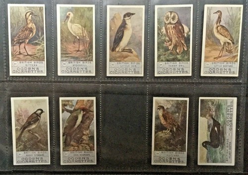 Cartes à cigarettes British Birds 2ème série 44 de 50 cartes jeu Ogden's ancien 1906 - Photo 10/12