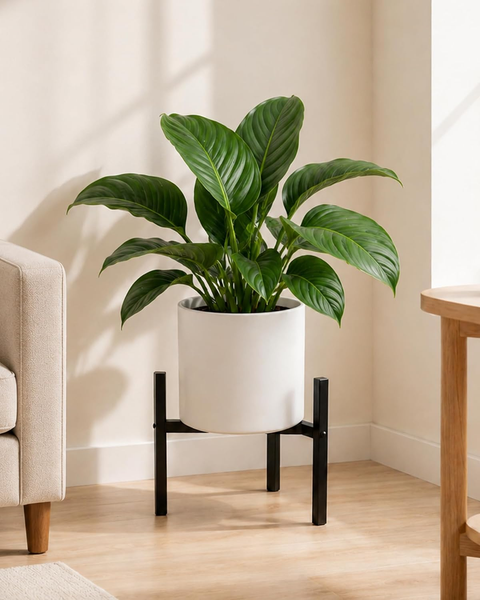 Bamworld BlumenstäNder PflanzenstäNder Pflanzenregal 23-image