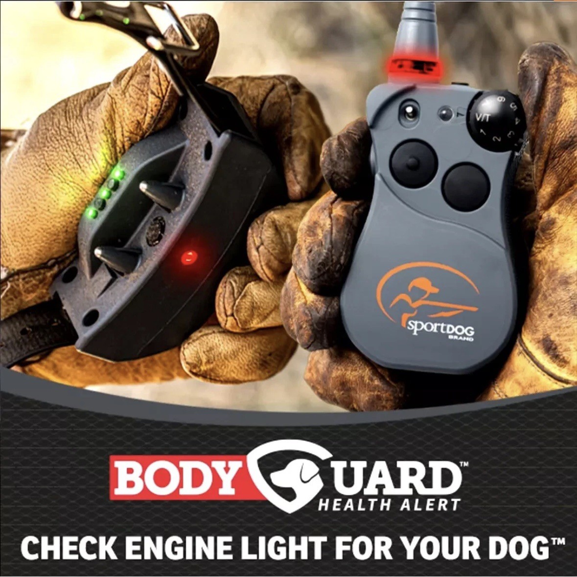 PRESALE SportDOG 825 825FS FIELDSENTINEL Remote Trainer w/ Health Alerts-PRESALE