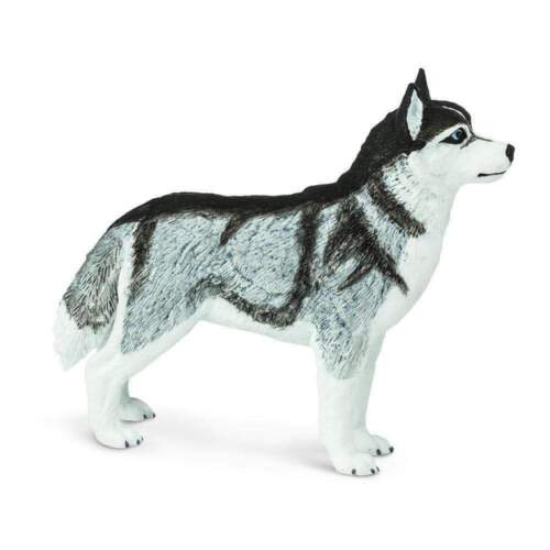 SIBERIAN HUSKY DOG Animal Figurine Safari Ltd. toy - Picture 5 of 5