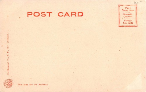 CHARLOTTE, NC ~ MECHLENBURG COUNTY COURT HOUSE ~ Pub. ROTOGRAPH ~ dated 1905 - Picture 2 of 2