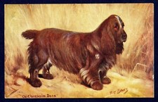 FIELD SPANIEL - Spratts Dog Postcard Illustrated by F.T. Daws