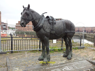 Foto 6x4 The Liverpool Carters Working Horse Monument Seacombe c2012
