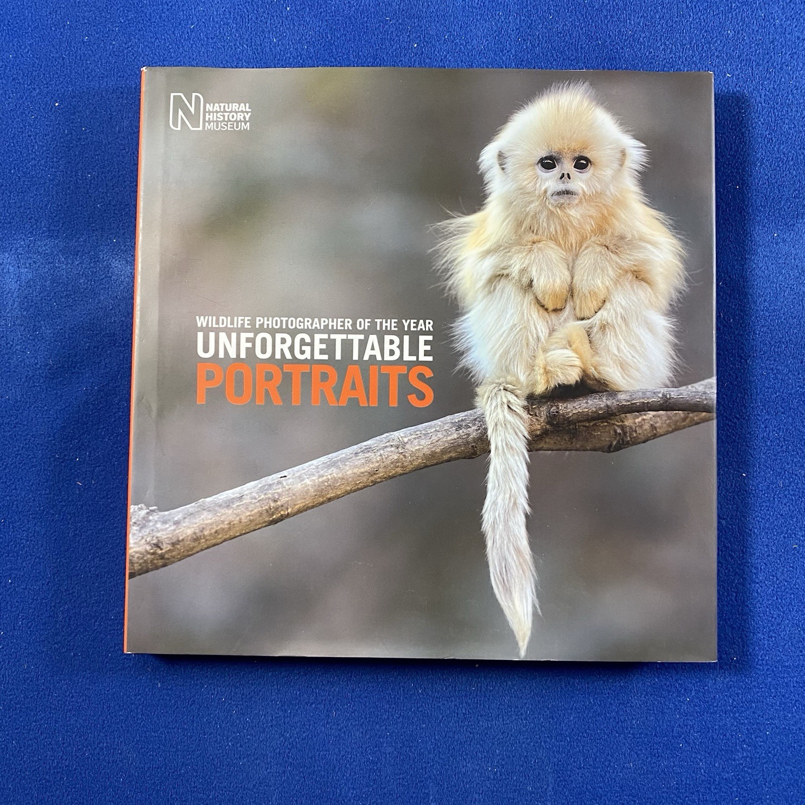 Wildlife Photographer of the Year: Unforgettable Portraits