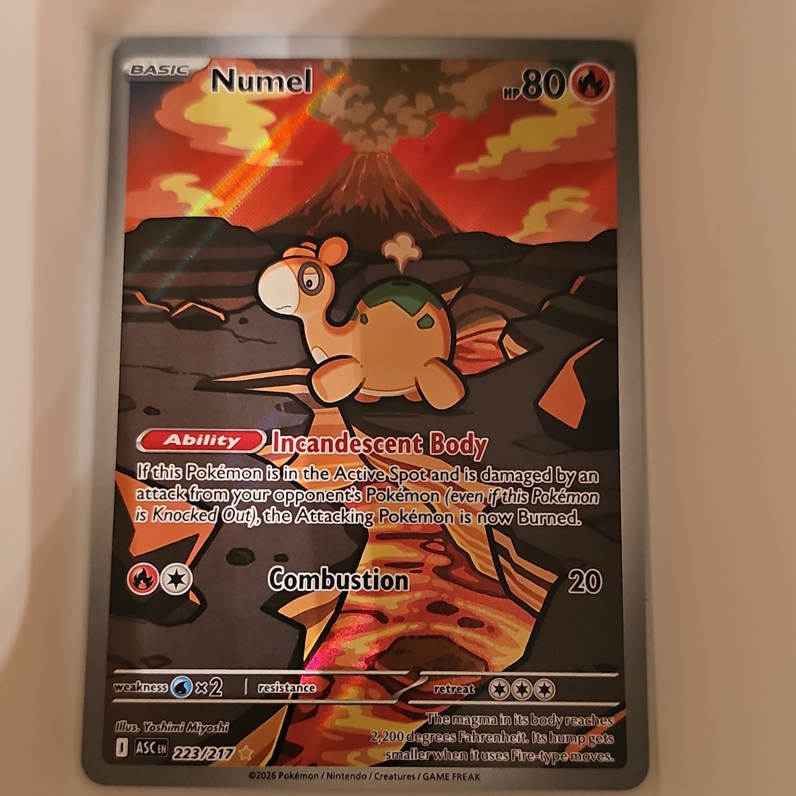Numel 223/217 Ascended Heroes Illustration Rare EN TCG