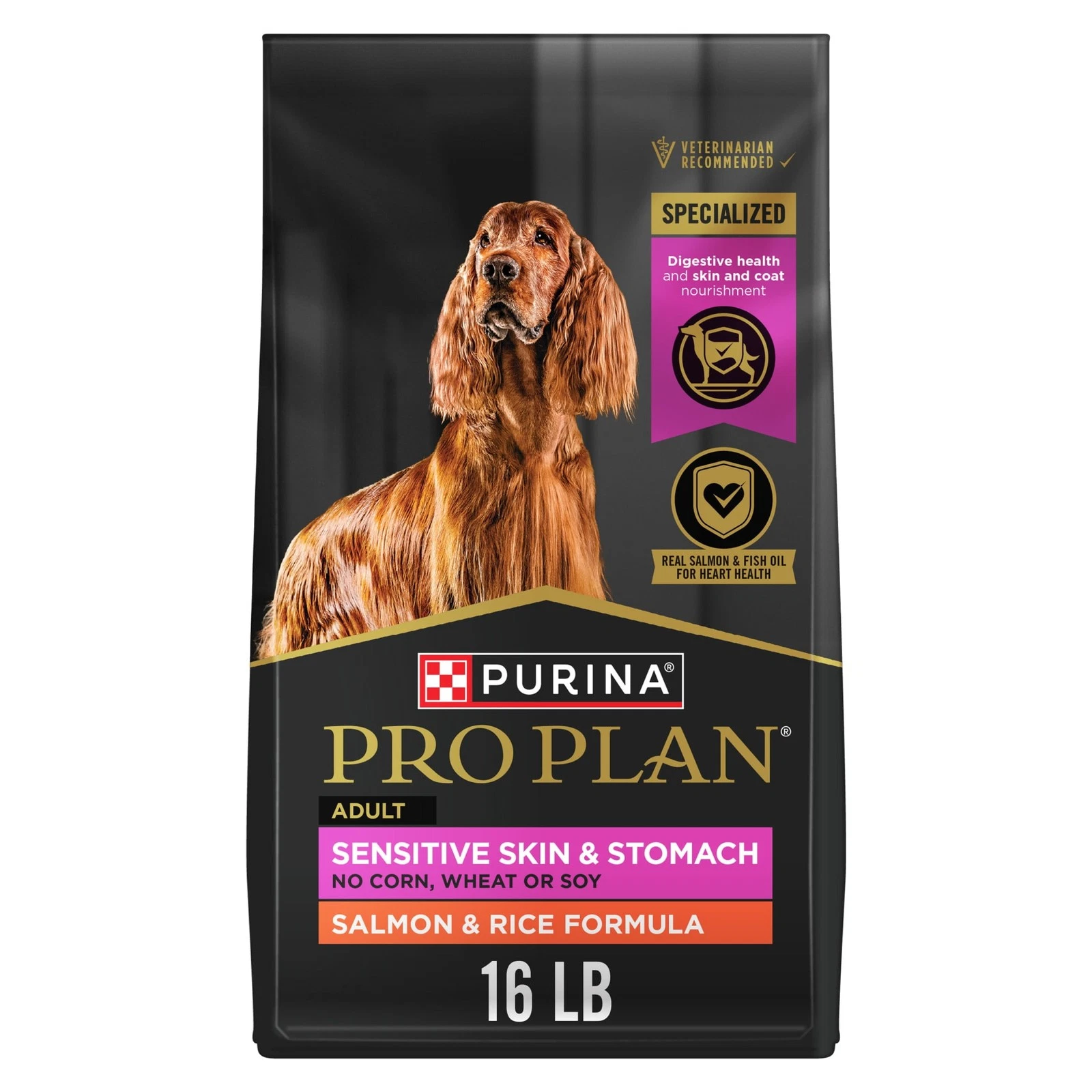 Dry Dog Food Adult Dogs High Protein Sensitive Stomach Salmon & Rice 16 lb Bag