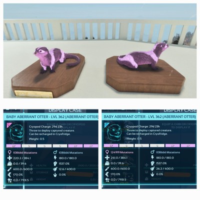 Ark Ascended Otter Aberrant Light Pink Pair Baby Top Melee 1537% Pve PC/XBOX/PS5