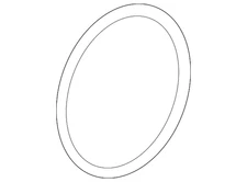 Genuine GM Front Wheel Bearing Seal (O-Ring) 20998952