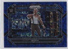 2023 Panini Prizm WWE Under Card Blue 8/25 Bushwhacker Butch #78 09j5