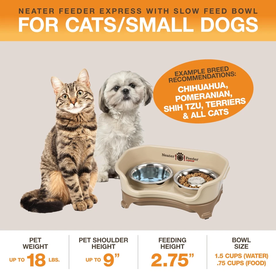 Cuencos elevados Express para perros para razas pequeñas, sin derrames, hechos en EE. UU. Foto 2 de 4