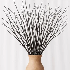 Birch Twigs Decorative Sticks for Vases – 25pcs Natural 