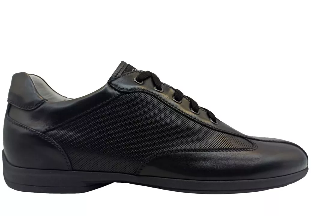 Nero giardini clearance chaussures homme prix