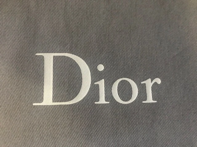 UN SEUL (1) SAC À POUSSIÈRE chaussure Dior 12 pouces par 8,5 pouces