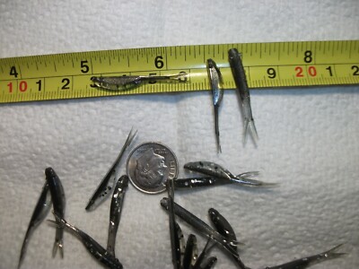 100-1 1/4''FLUKE-crappie-panfish-perch-shad minnow grub-jig-lure-split tail-scent