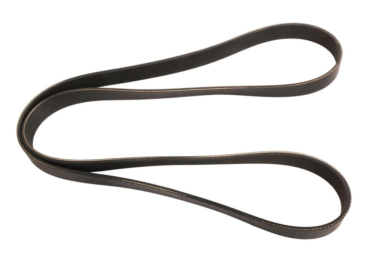 NEW Serpentine Belt Extreme Duty Poly-V Belt CONTINENTAL ELITE 
