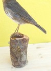Foto 4 di 5