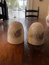 J & G Meakin Sol Rock Fern Salt & Pepper Shakers