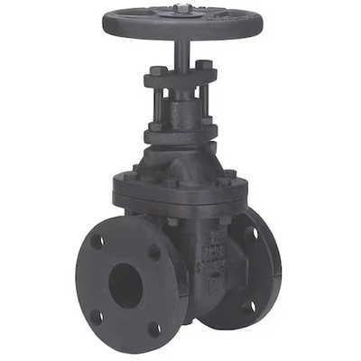 Milwaukee Valve 2882-M 2-1/2'' Gate Valve, Class 125, 2-1/2 In.