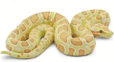 Albino Burmese Python Figurine - Lifelike 5.5" Snake Figure - Educational Toy fo