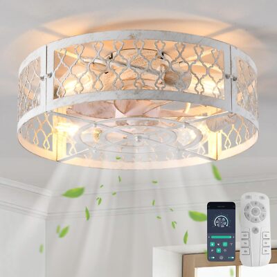 20'' Flush Mount Caged Ceiling Fan with Light and Remote for Bedroom,Dining Room