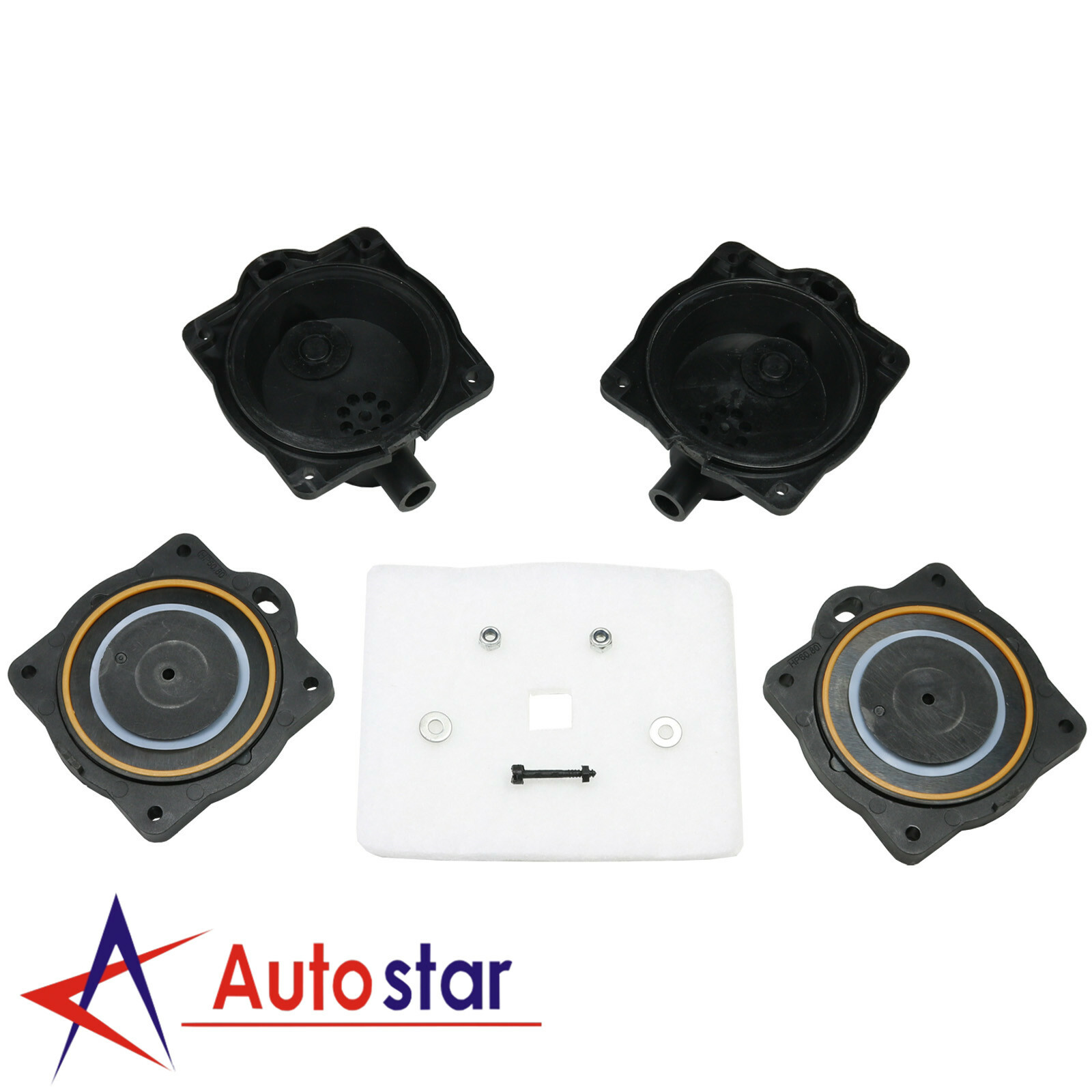 Air Pump Diaphragm Rebuild Repair Kit w/ Filter Screw Nuts