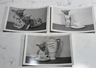 Vintage 1950s CHIHUAHUA PUPPY Puppies In a Teacup Milk Can Glass Set of 3 Photos