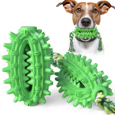 Dog Chew Toy Cleaning Teeth Pet Oral Care Dogs Rubber Cactus Shape Fun Toy  | eBay.de