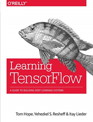 Learning TensorFlow - Paperback NEW Hope, Tom 12/09/2017