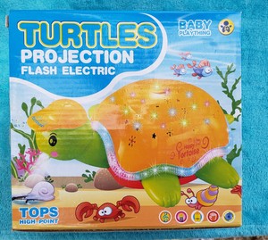 turtle music toy