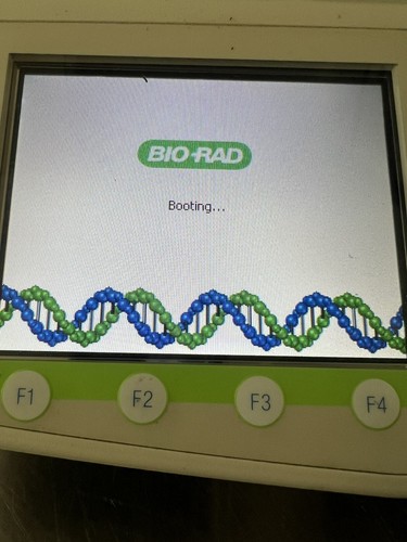 Bio-Rad C1000 Thermal Cycler with Dual 48 Well Block - Picture 3 of 12
