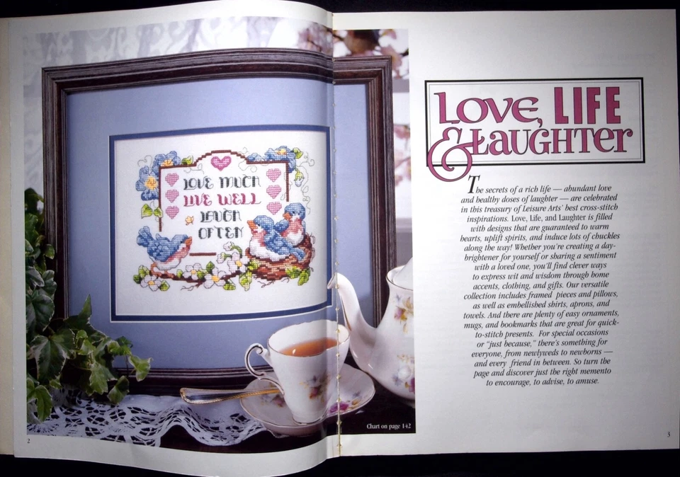 LIBRO FOLLETO ARTES DE OCIO MEJOR AMOR VIDA Y RISA 3030 - PUNTO DE CRUZ Foto 3 de 4