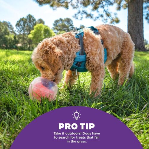 Dog Boredom Buster - Rumble Topsy Treat Ball. Dog Game For Mental Stimulation. - Picture 5 of 7
